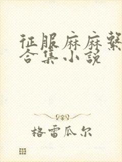 征服麻麻系列大合集小说