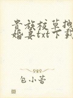 贵族校草拽拽未婚妻txt下载