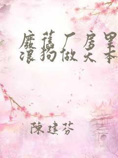 废旧厂房里和流浪狗做天本