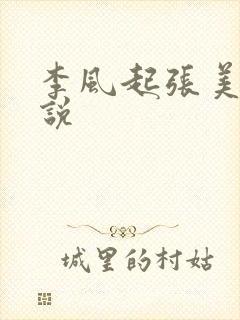 李风起张美丽小说