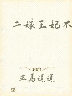 二嫁王妃不好惹