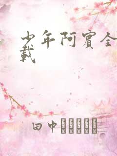 少年阿宾全集下载