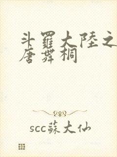 斗罗大陆之肉奴唐舞桐