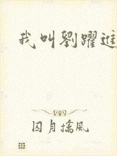 我叫刘跃进下载