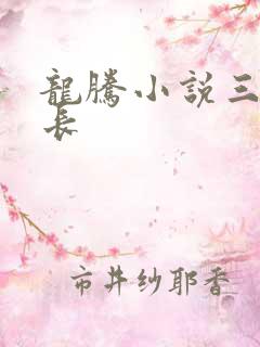 龙腾小说三宝局长