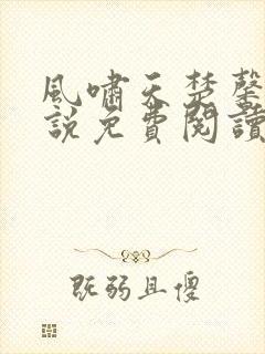 风啸天楚馨月小说免费阅读