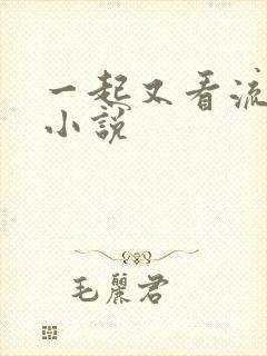一起又看流星雨小说