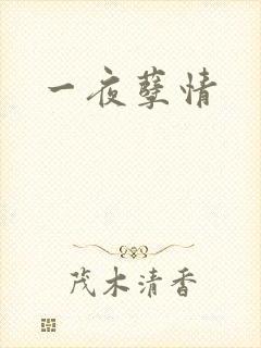 一夜孽情