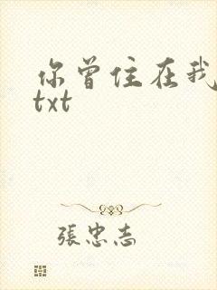 你曾住在我心上txt