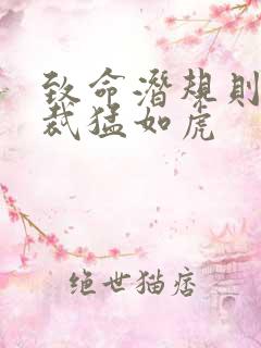 致命潜规则 总裁猛如虎