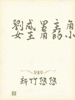 刘成男主角刘雪女主角的小说