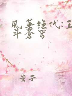 风华绝代:王妃斗苍穹