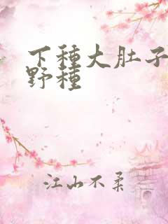 下种大肚子怀孕野种