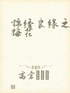 锦绣良缘之驿寄梅花