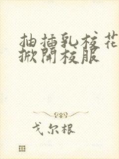 抽插乳校花老师掀开校服