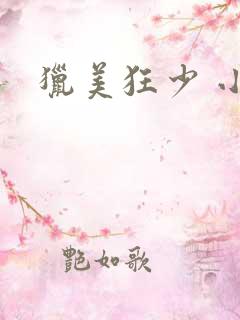 猎美狂少 小说