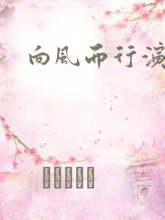 向风而行演员表