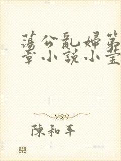 荡公乱妇第51章小说小莹