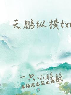 天鹏纵横txt