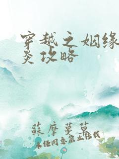 穿越之姻缘劫萧炎攻略