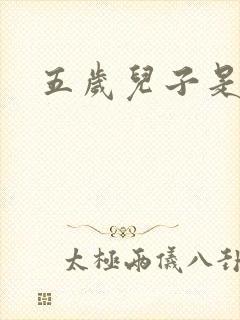 五岁儿子是相公