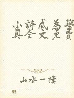 小诗成为学校教具全文免费阅读无弹窗