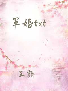 军婚txt