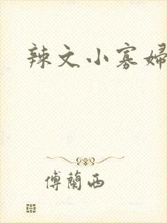 辣文小寡妇