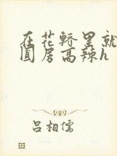 在花轿里就开始圆房高辣h