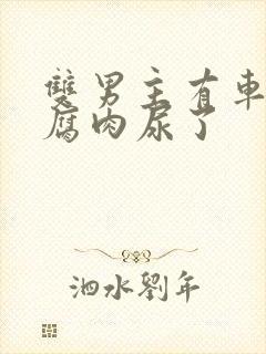 双男主有车车的腐肉尿了