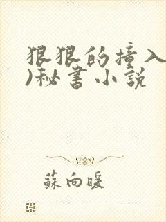 狠狠的撞入(h)秘书小说