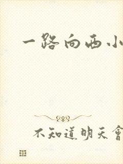 一路向西小说