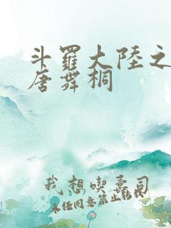 斗罗大陆之肉奴唐舞桐