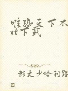 唯恐天下不乱txt下载