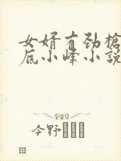 女婿有劲枪枪到底小峰小说