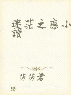 迷茫之恋小说阅读
