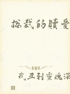 总裁的赎爱宝贝