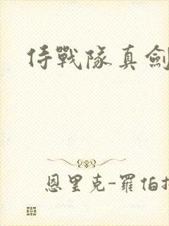 侍战队真剑者2