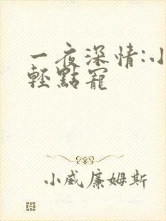 一夜深情:小叔轻点宠