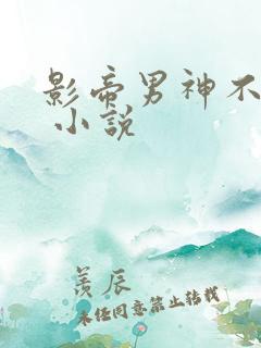 影帝男神不节制 小说