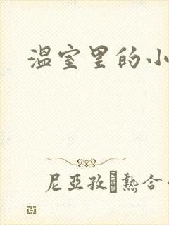 温室里的小百合