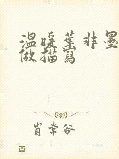 温暖叶非墨车内做描写