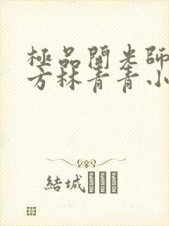 极品开光师李南方林青青小说免费阅读