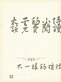 太子的小侍妾小说免费阅读全文