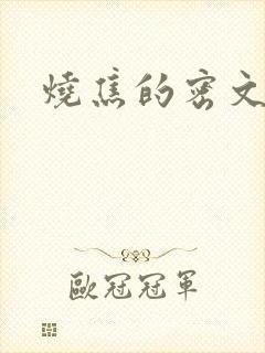 烧焦的密文