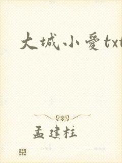 大城小爱txt