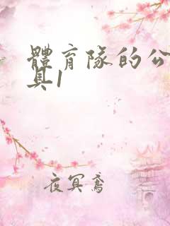 体育队的公用玩具1