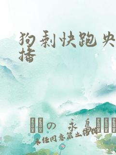 狗剩快跑央八首播