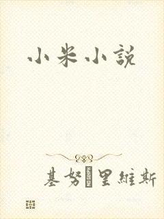 小米小说