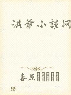洪爷小说网